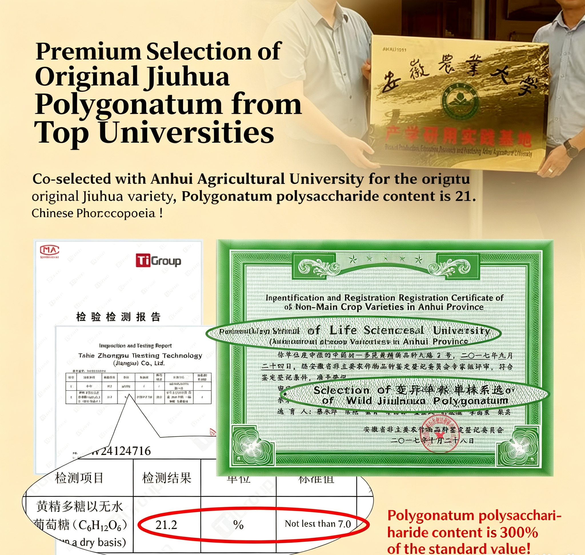 Nine-times steamed and sun-dried Polygonatum  Ready-to-eat dried Polygonatum  Polygonatum tea  Wild Polygonatum 250g